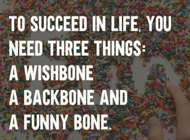 bone.JPG