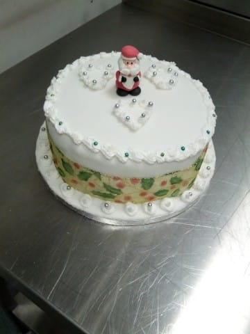 Michelle's Christmas Cake.jpg