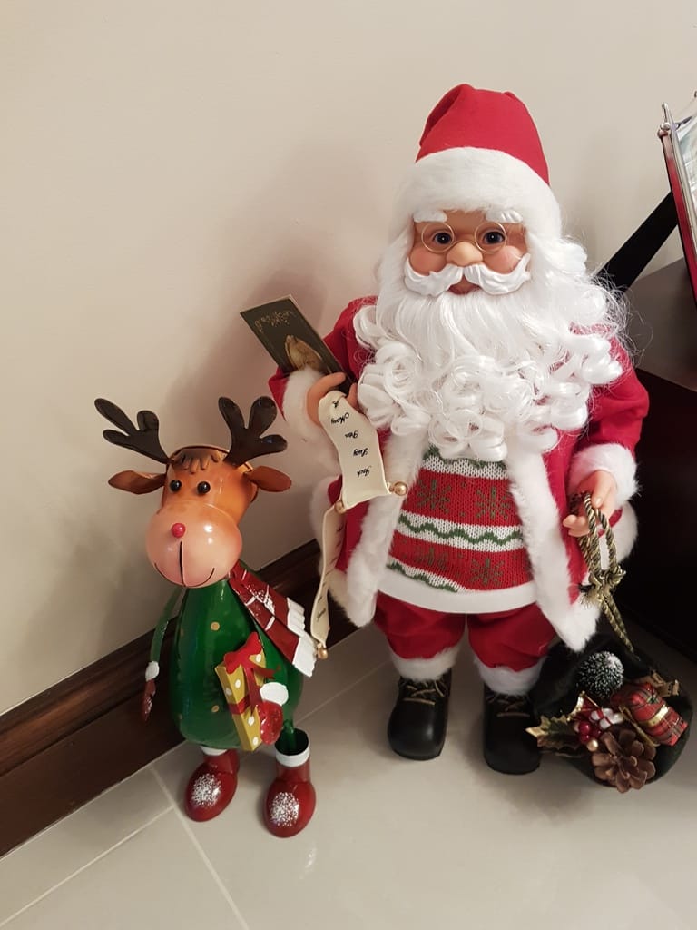 Santa and Reindeer.jpg