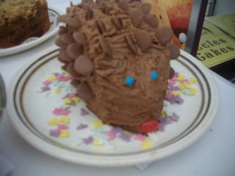 Eccles Cake Festival 2013 (60).JPG