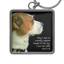 humorous_dog_thought_for_the_day_keychain-rd279d44dd81940cd8a695e568be73caf_x76w6_8byvr_512.jpg