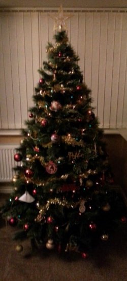 Christmas Tree1 (Small).jpg