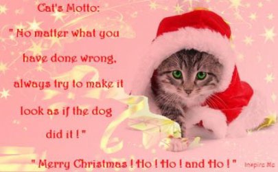 ChristmasKitty.jpg