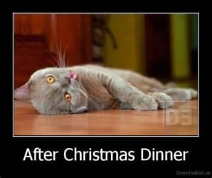 funny-christmas-joke_4682915536372404.jpg