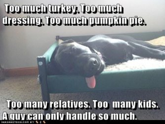 funny-dog-pictures-too-much-turkey-too-much-dressing-too-much-pumpkin-pie-too-many-relatives-to.jpeg