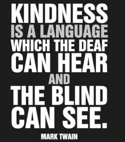 mark twain quote.JPG