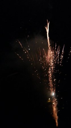Bonfire 5.jpg