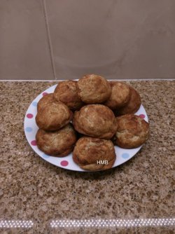 snickerdoodle   (167)-001.jpg