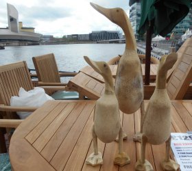 Lowry Food Festival (76)-001.JPG