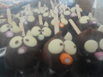 Z Lowry Food Festival (12).JPG