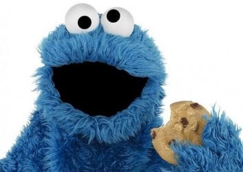 cookie monster.JPG