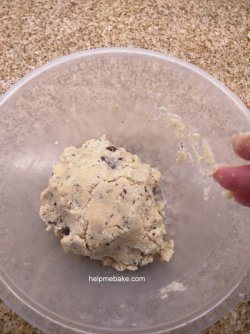 Choc chip cookies (121)-001.jpg