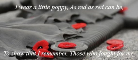Poppy 2.JPG