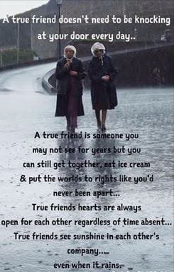 true friend.JPG