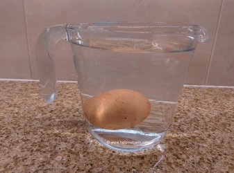 Egg in a jug (1)-001.jpg