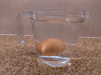 Egg in a jug (1)-001.jpg Egg in a jug (1)-001.jpg