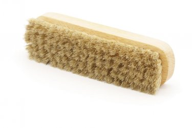 Bristled brush.jpg Bristled brush.jpg