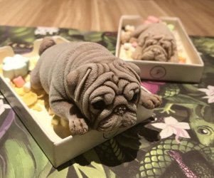 taiwan puppy ice cream.jpg