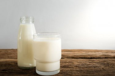 milk (Medium).jpg