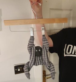 Tea Towel Monkey (Medium).jpg
