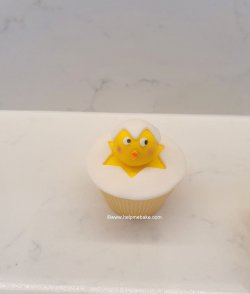 The Chick Family by Help Me Bake (1) (Medium)-001.jpg