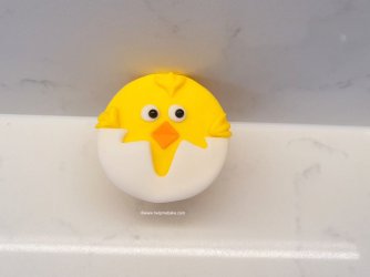 The Chick Family by Help Me Bake (2) (Medium)-001.jpg The Chick Family by Help Me Bake (2) (Medium)-001.jpg