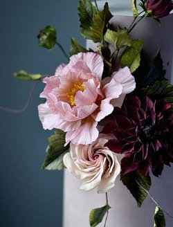 Ben fullard flowers.JPG Ben fullard flowers.JPG