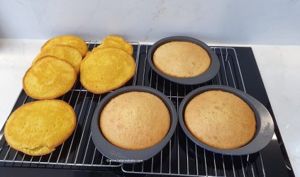 Wilton 5 Pan Tin Experiment by Help Me Bake (3) (Medium).jpg