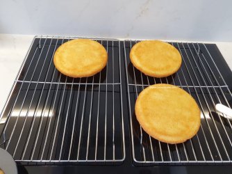 Wilton 5 Pan Tin Experiment by Help Me Bake (4) (Medium).jpg