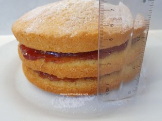 Wilton 5 Pan Tin Experiment by Help Me Bake (5) (Medium).jpg