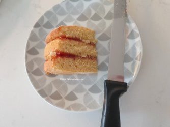 Wilton 5 Pan Tin Experiment by Help Me Bake (7) (Medium).jpg