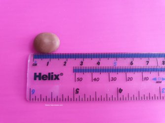 Castle Chocolatiers Chocolate Drop Review by Help Me Bake (7) (Medium).jpg