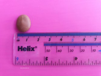 Castle Chocolatiers Chocolate Drop Review by Help Me Bake (8) (Medium).jpg