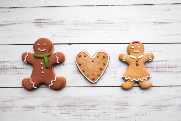 christmas gingerbread (Medium).jpg