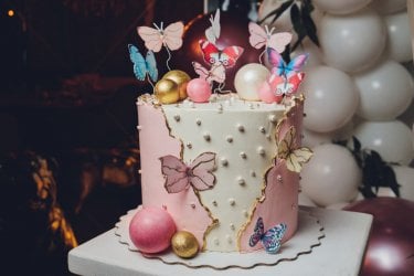 butterfly cake (Medium).jpg butterfly cake (Medium).jpg