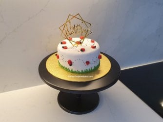 Ladybird Cake by Help Me Bake 1 (Medium).jpg