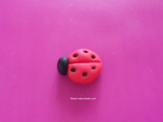 How to make a ladybird by Help Me Bake (10) (Medium).jpg How to make a ladybird by Help Me Bake (10) (Medium).jpg