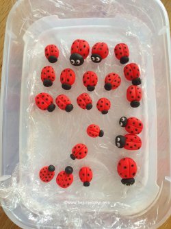 How to make ladybird toppers by Help Me Bake - Various Sizes (Medium).jpg How to make ladybird toppers by Help Me Bake - Various Sizes (Medium).jpg