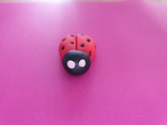 How to make ladybirds with faces by Help Me Bake (4) (Medium).jpg