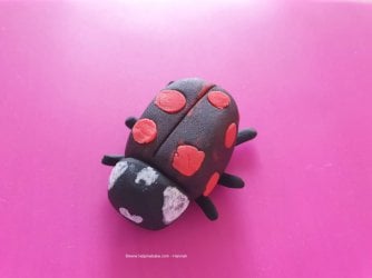 Han's Ladybird (Medium).jpg Han's Ladybird (Medium).jpg