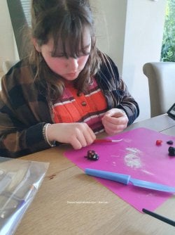 Han's Ladybird Topper (Medium).jpg Han's Ladybird Topper (Medium).jpg