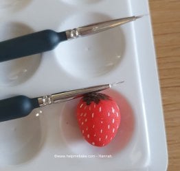 Han's Strawberry (Medium)-001.jpg Han's Strawberry (Medium)-001.jpg