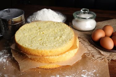 Sponge - Copy (Medium).jpg