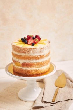 naked mango cake (Medium).jpg
