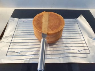 6 Inch Madeira Cake Recipe and Guide by Help Me Bake 2 (Medium).jpg