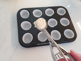 Mini Cupcake Recipe and Guide by Help Me Bake 2 (Medium).jpg