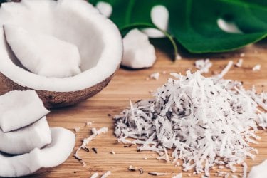 Coconut (Medium).jpg