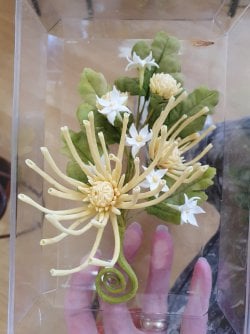 Spider Chrysanthemum by Lesley Dalton (Medium).jpg