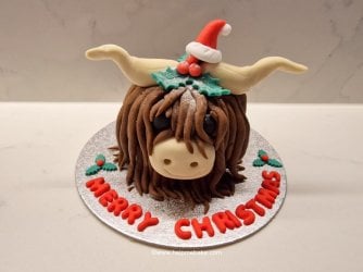 Terrys chocolate orange highland cow by help me bake (Medium).jpg Terrys chocolate orange highland cow by help me bake (Medium).jpg