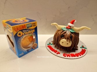 Terrys chocolate orange highland cow by help me bake 3 (Medium).jpg Terrys chocolate orange highland cow by help me bake 3 (Medium).jpg